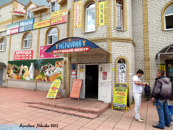 Торговый центр Меркурий в Кольчугинском районе Владимирской области фото vgv