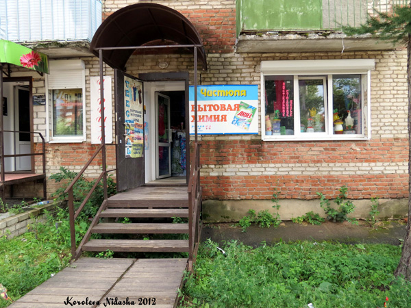Магазин Чистюля в Кольчугинском районе Владимирской области фото vgv