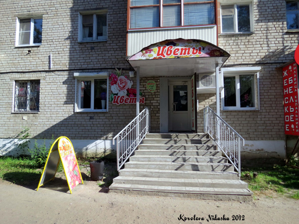 Магазин Цветы в Кольчугинском районе Владимирской области фото vgv