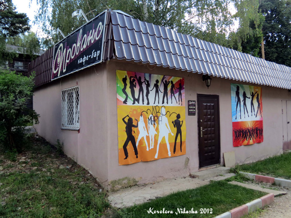 Кафе-бар Прованс в Кольчугинском районе Владимирской области фото vgv