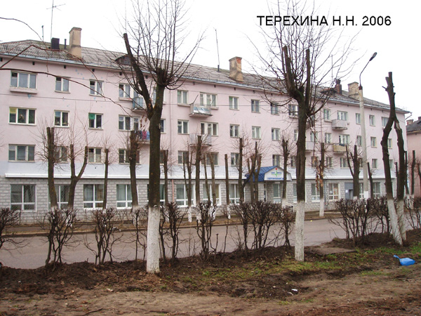 город Кольчугино Ленина улица 8 в Кольчугинском районе Владимирской области фото vgv