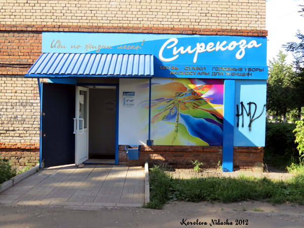 магазин обуви «Стрекоза» на Ленина 11 в Кольчугинском районе Владимирской области фото vgv