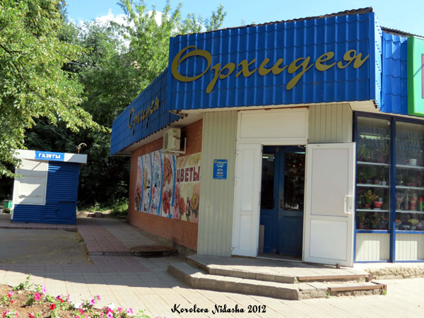 Магазин Орхидея в Кольчугинском районе Владимирской области фото vgv