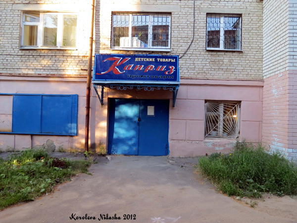 магазин детских товаров Каприз в Кольчугинском районе Владимирской области фото vgv