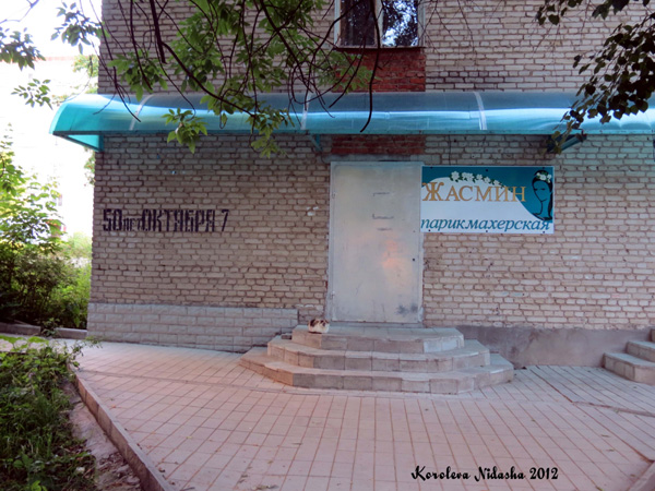 Парикмахерская Жасмин в Кольчугинском районе Владимирской области фото vgv