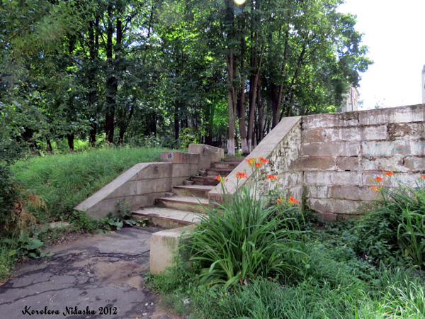 Лестница к 11 дому в Кольчугинском районе Владимирской области фото vgv