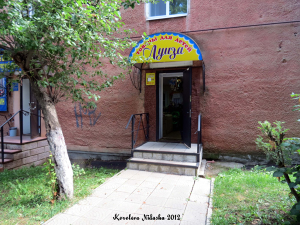 Магазин Луиза в Кольчугинском районе Владимирской области фото vgv