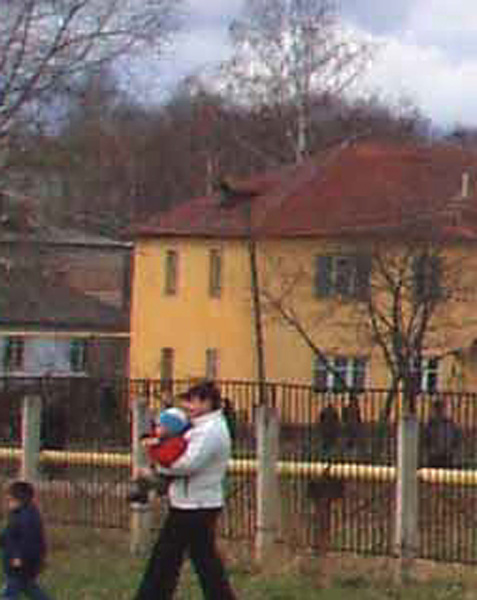 поселок Бавлены Больничная улица 7 в Кольчугинском районе Владимирской области фото vgv