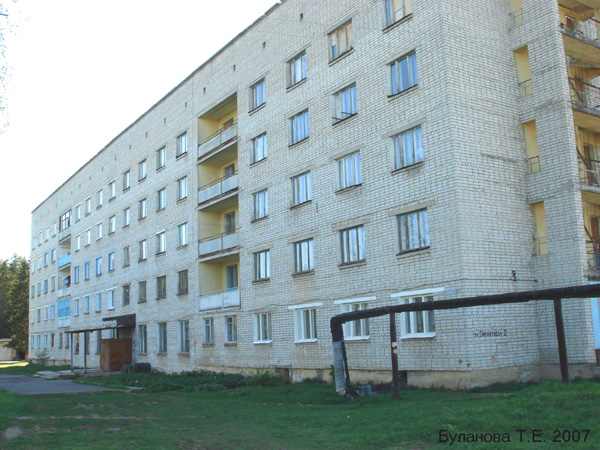 поселок Бавлены Силантьева улица 2 в Кольчугинском районе Владимирской области фото vgv