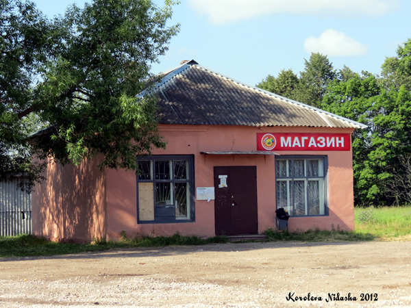 магазин N 22 Кольчугинского РАЙПО в Ельцино в Кольчугинском районе Владимирской области фото vgv