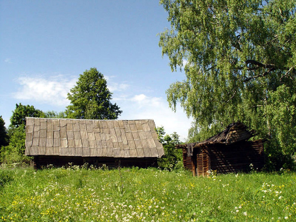 Зиновьево село в Кольчугинском районе Владимирской области фото vgv