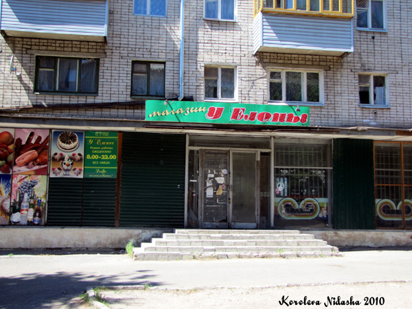 магазин продуктов У Елены в Ковровском районе Владимирской области фото vgv
