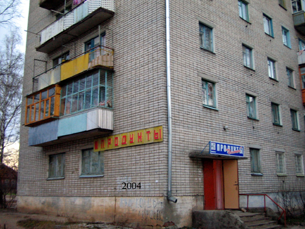 магазин Продукты на Блинова 76 в Ковровском районе Владимирской области фото vgv