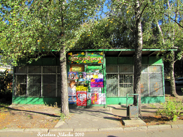(закрыта)Закусочная Березка в Ковровском районе Владимирской области фото vgv