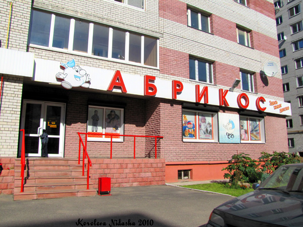 Абрикос в Ковровском районе Владимирской области фото vgv