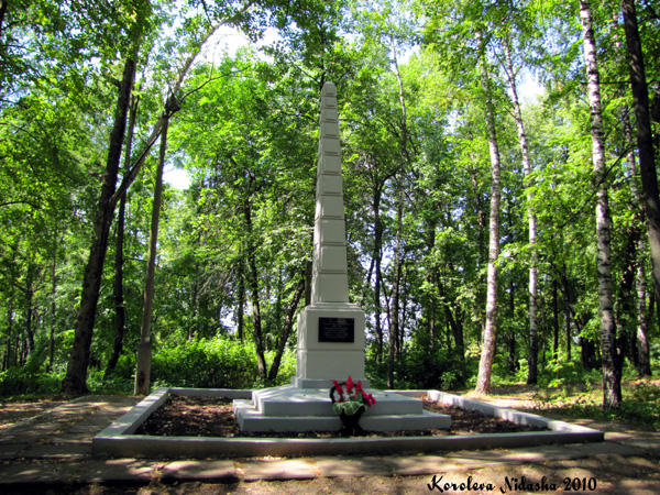 Памятник на месте захоронения Малеева А.Я. в парке Пушкина в Ковровском районе Владимирской области фото vgv