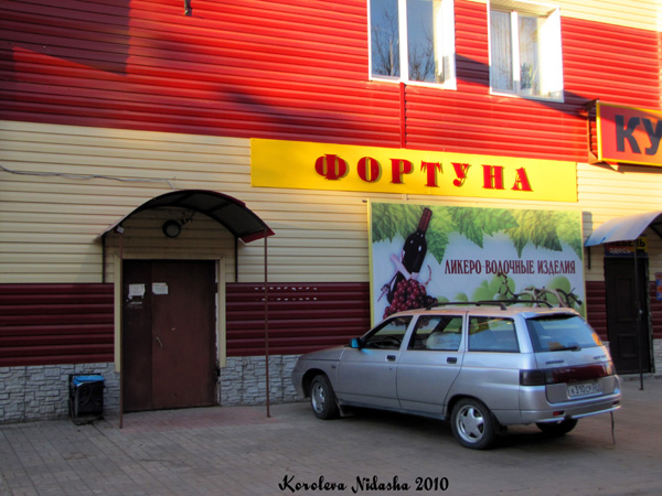 магазин Фортуна на Пугачева 32 в Ковровском районе Владимирской области фото vgv