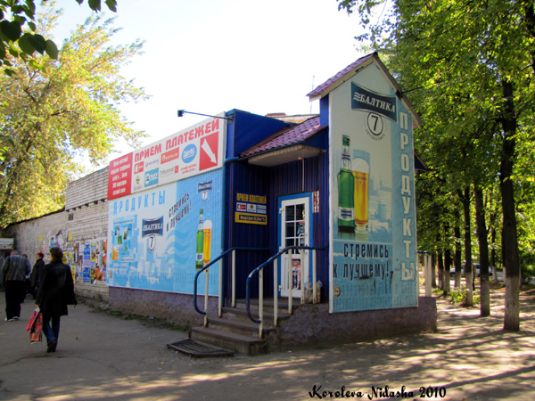город Ковров улица Социалистическая 1 в Ковровском районе Владимирской области фото vgv