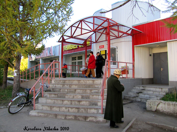 Универсам Копейка в Ковровском районе Владимирской области фото vgv