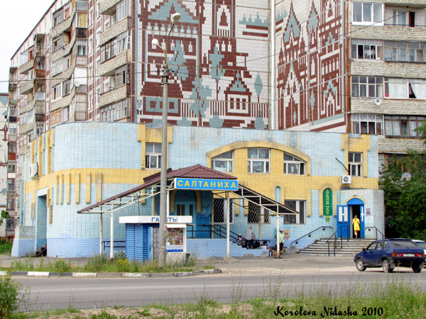 магазин Салтаниха на улице Строителей 22 в Ковровском районе Владимирской области фото vgv