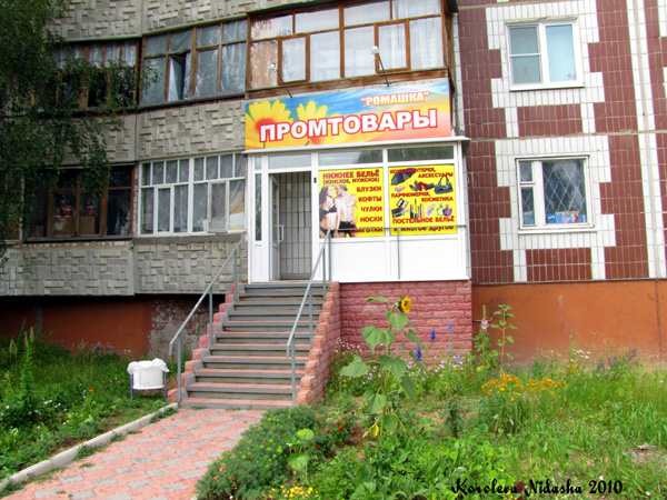 Магазин Ромашка на улице Строителей 24 в Ковровском районе Владимирской области фото vgv
