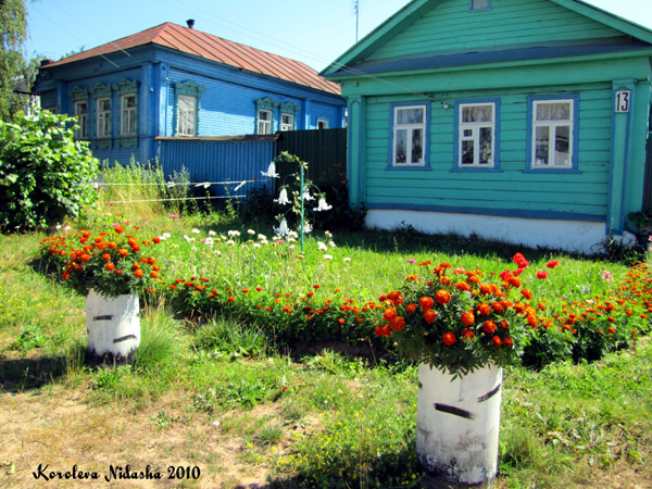 Если цветы поливать молоком в Ковровском районе Владимирской области фото vgv
