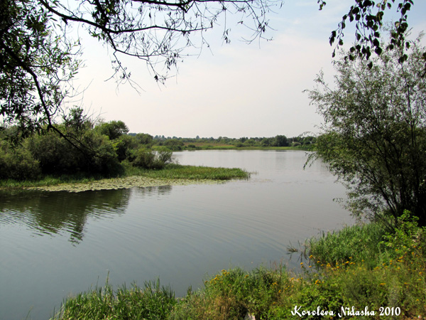 Озеро Старка в Ковровском районе Владимирской области фото vgv
