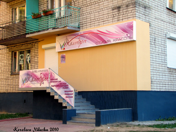 Студия красоты Колибри на Циолковского 21 в Ковровском районе Владимирской области фото vgv