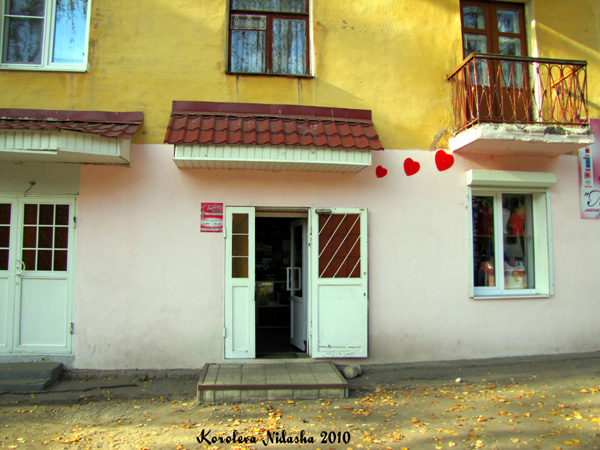 Магазин Любимый на Чернышевского 2 в Ковровском районе Владимирской области фото vgv