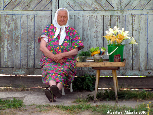 Бабушка на Гагарина в Ковровском районе Владимирской области фото vgv