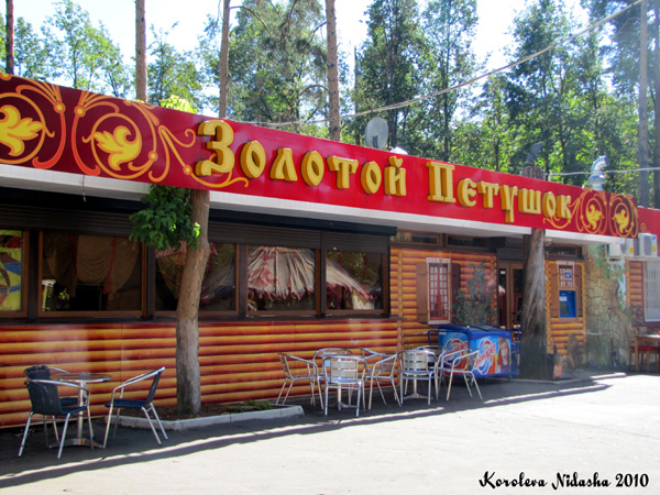 Кафе Золотой петушок в Ковровском районе Владимирской области фото vgv