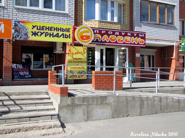 Магазин продуктов Баловень на Грибоедова 1 в Ковровском районе Владимирской области фото vgv