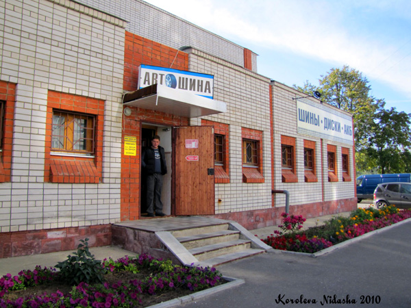 Магазин АвтоШина на Грибоедова 15 в Ковровском районе Владимирской области фото vgv