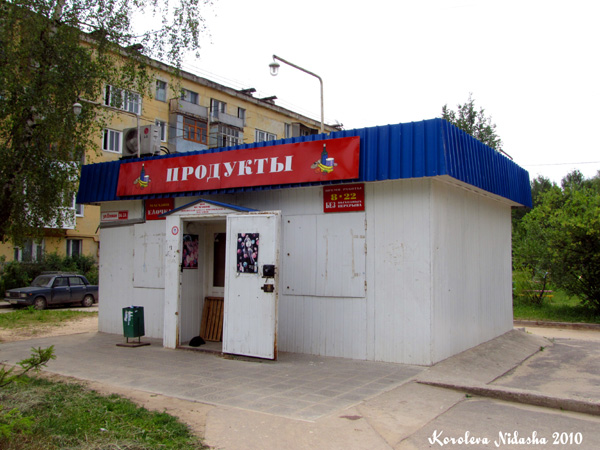 Магазин Елочка в Ковровском районе Владимирской области фото vgv