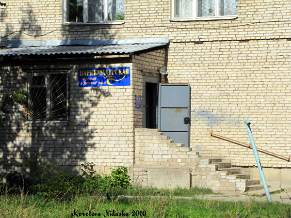 Чародейка в Ковровском районе Владимирской области фото vgv
