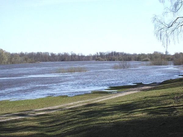 река Клязьма в оркресностях лагеря Березка в Ковровском районе Владимирской области фото vgv