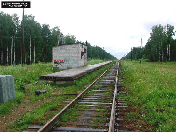 платфома 67 км. в Ковровском районе Владимирской области фото vgv