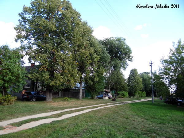 деревня Зубцово в Ковровском районе Владимирской области фото vgv