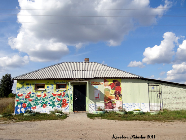 Магазин Продукты в деревне Кузнечиха в Ковровском районе Владимирской области фото vgv