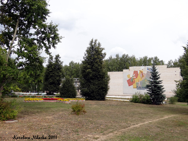 Цветочная клумба у Дома Культуры в Малыгино в Ковровском районе Владимирской области фото vgv