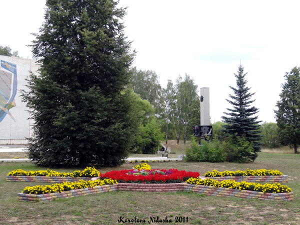 Цветочная клумба у Дома Культуры в Малыгино в Ковровском районе Владимирской области фото vgv