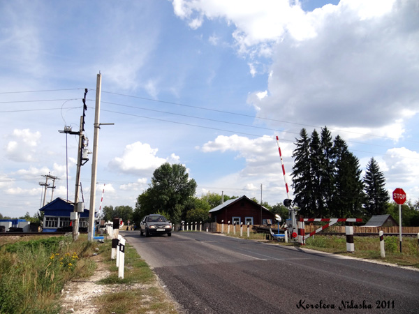 Железнодорожный переезд у п. Мылыгино в Ковровском районе Владимирской области фото vgv