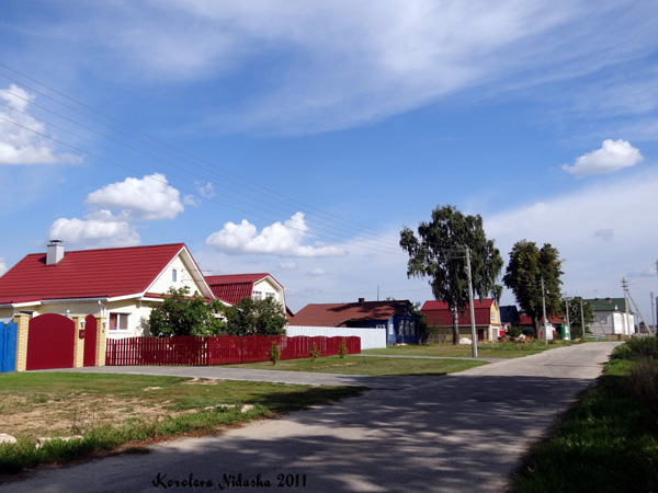 Малышево село в Ковровском районе Владимирской области фото vgv