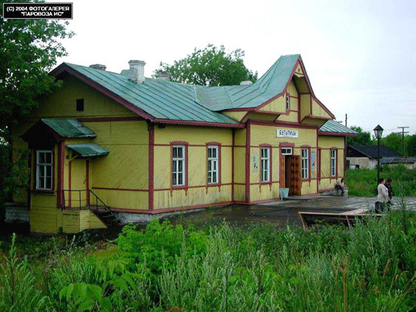 станция Бутылицы в Меленковском районе Владимирской области фото vgv