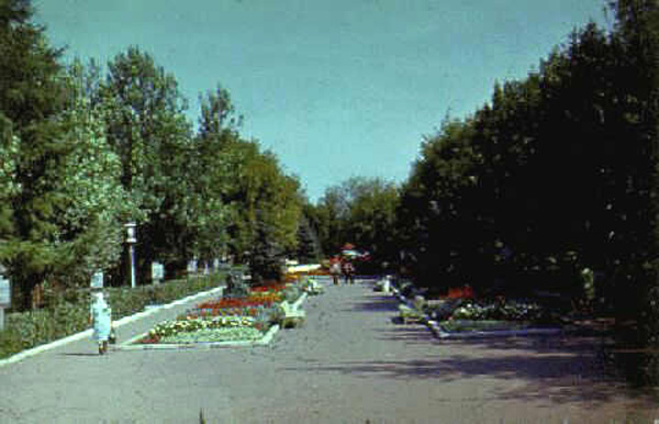 Окский сад в Муромском районе Владимирской области фото vgv