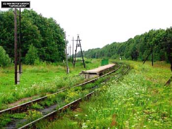 платформа 10 км. в Муромском районе Владимирской области фото vgv