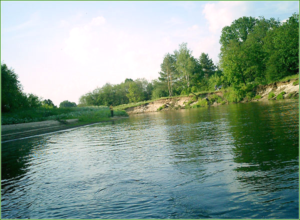 река Киржач у п. Сосновый Бор в Петушинском районе Владимирской области фото vgv