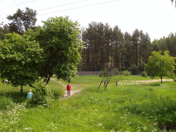 Леоново деревня в Петушинском районе Владимирской области фото vgv
