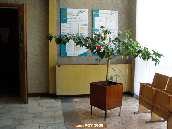 Центр занятости населения в ЗАТО город Радужный Владимирской области фото vgv