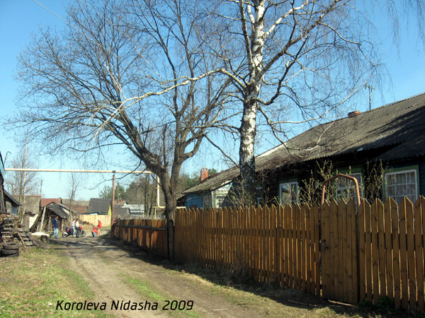 город Собинка Дачная улица в Собинском районе Владимирской области фото vgv
